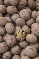 walnut as a background