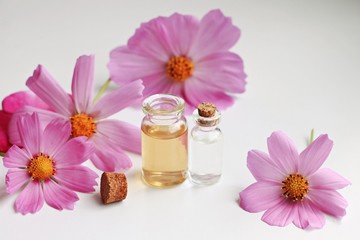 Obraz na płótnie Canvas flower attar aroma oils in little glass bottles cork pink fresh meadow flowers plant extract aromatherapy white space 