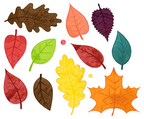 Vector Collection of Watercolor Style Autumn Leaves