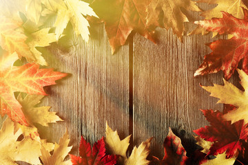 Naklejka na ściany i meble Autumn maple leaves over wooden background