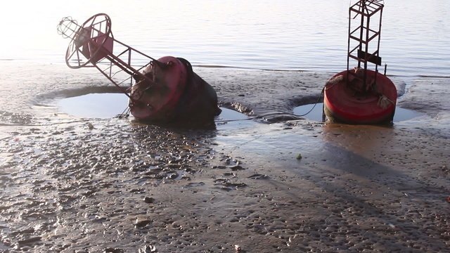 Buoys in wetlands  on tide time