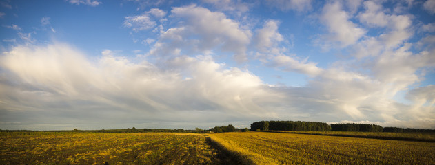 Piękne burzowe chmury nad polem © Mike Mareen