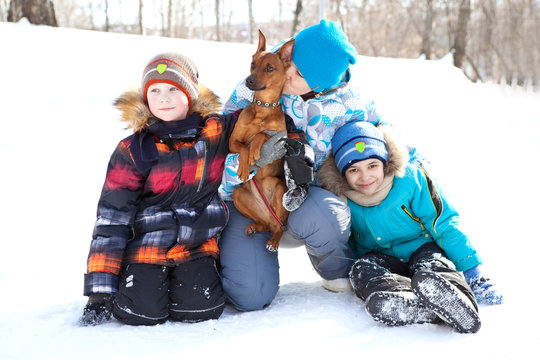 A friendly family dog walking in the park in winter