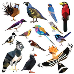 Birds-set colorful birds low poly design isolated on white background.
Swallow,Barbet,Flycatcher,Harpy,Hoopoe,Sparrow,Roller,Quail,Wren,Sage Grouse,Puffin,Starling,Tit,Pigeon.