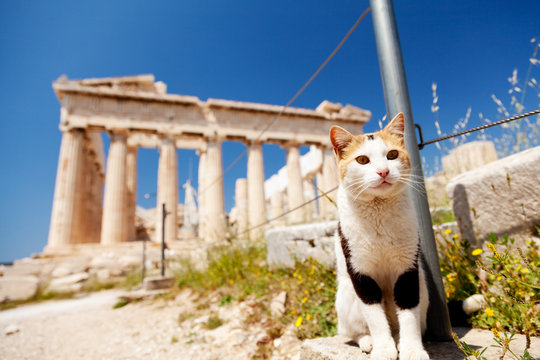 Parthenon at Acropolis, Athens