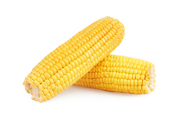 Corn on the cob