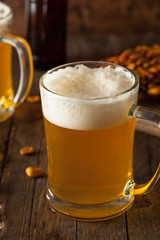 Golden Beer in a Glass Stein