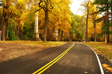 Autumn scene with road in forest