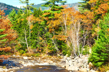 Fototapeta na wymiar Swift River at autumn