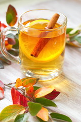 Hot drink with apple juice, lemon and cinnamon in autumn