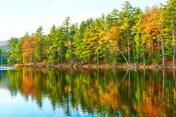 Pond in White Mountain National Forest, New Hampshire