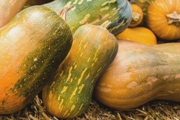 Тыква с поля