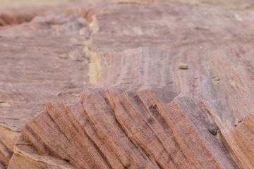 Rock at Valley of Fire State Park in Nevada