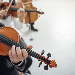 Violin players performing