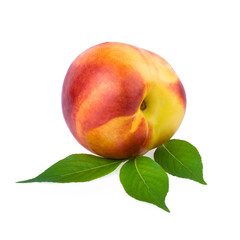 peach nectarine