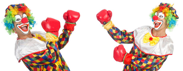 Clowns with boxing gloves isolated on white