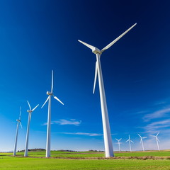 wind farm