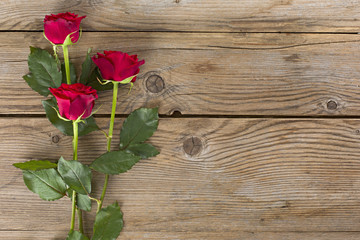Fototapeta na wymiar Pannello tre rose vuoto