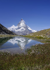 Naklejka na ściany i meble Wollgrasblüte am Riffelsee mit Matterhornspiegelung
