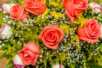 Nice roses in celebration concept