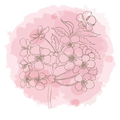 Cherry blossom on watercolor stain imitation