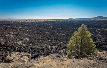 Lava beds and lava flow area