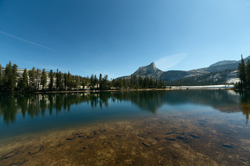 Mountain and pine trees reflecting on alpine lake