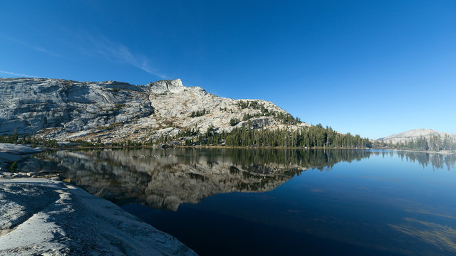 Mountain and pine trees reflecting on alpine lake