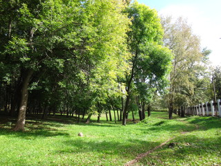 Obraz premium Городской парк в солнечный день ранней осенью