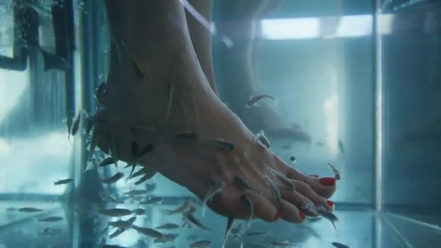 Close up of fish nibbling foot of woman in spa treatment / Oia, Santorini, Greece