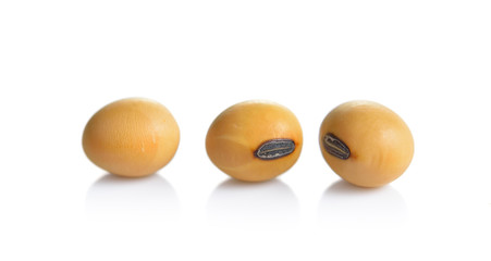 Dried  soybean on a white background