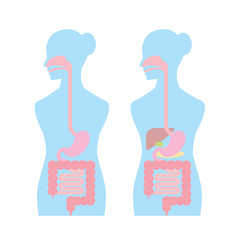 medical83 消化器系