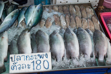   snapper on ice for sale at a fish market.