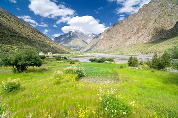 Fototapeta na wymiar Grass land around Leh city, Ladakh, Himalaya, Jammu & Kashmir, Northern India