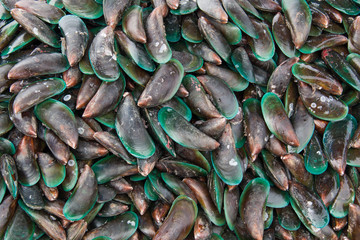 Raw and fresh mussels in market