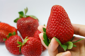 hand holding fresh strawberries