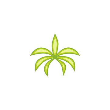 Palm Tree Vector Template