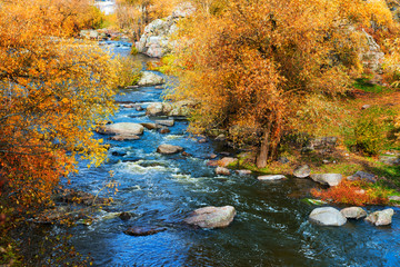 Rough river at autumn