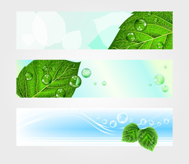 Set of headers for website with foliage, vector