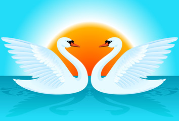 Two white swans illustration.