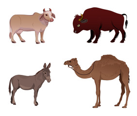 Set of farm animals