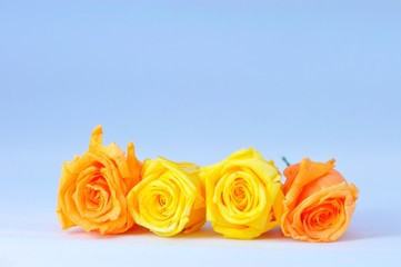 プリザードフラワー