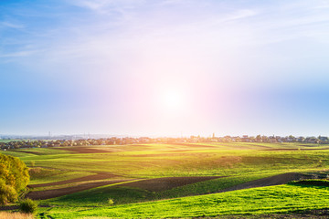 Green Field