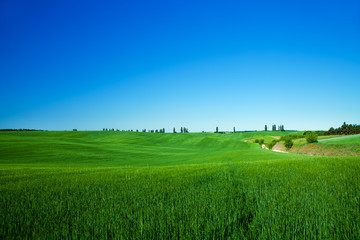 Green Field