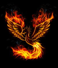 Fire burning Phoenix Bird with black background - obrazy, fototapety, plakaty