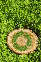 tree stump on the grass with recycle symbol, top view