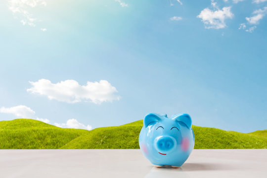blue piggy bank on stone table over blurred grass field with clear blue sky background , saving money concept.
