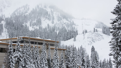 Stevens Pass, WA