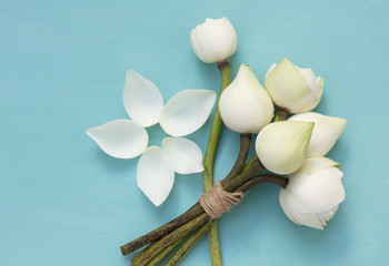 White lotus bouquet on blue background