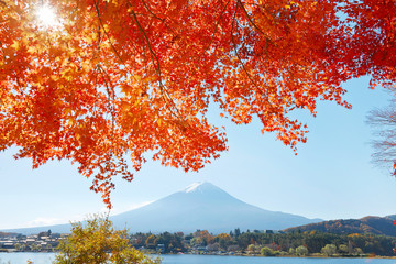 Panele Szklane  Jesienne liście i góra Fuji